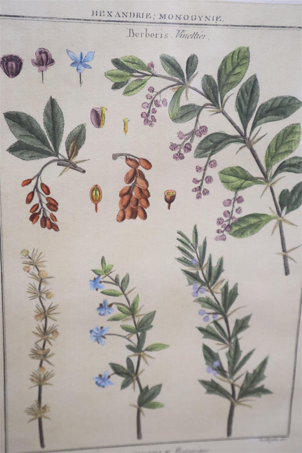 After Walter Dendy Sadler, two of coloured lithographs, Thursday and Friday, 46 x 71cm and various watercolours and prints (9)
